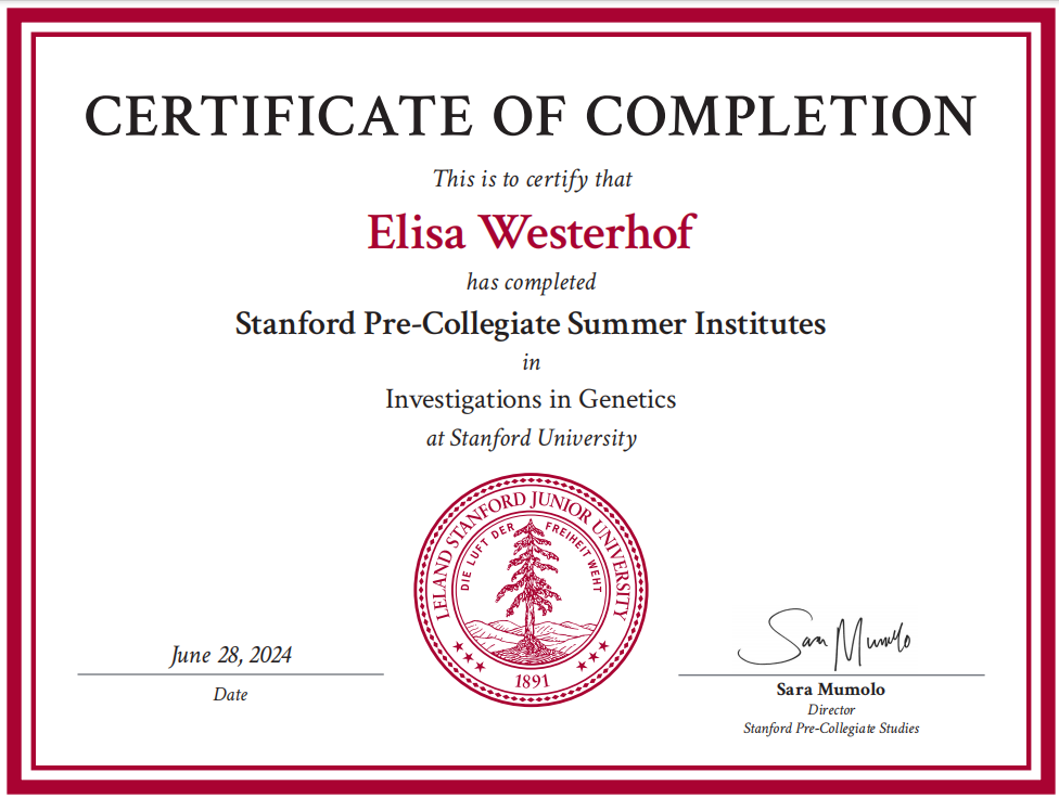 Stanford Summer Program
